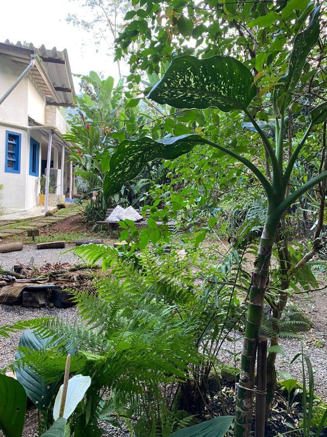 Casa Dos Ventos - Refugio, Sustentabilidade, Conexao Ubatuba Buitenkant foto